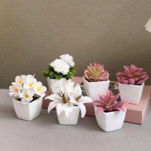 2pc (3-4 Inch) Set Artificial Mini Succulent Plants