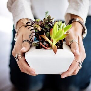Mini Artificial Succulent Pot